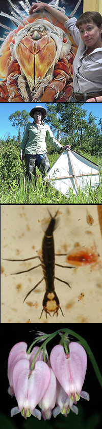 HP compilation June 2015